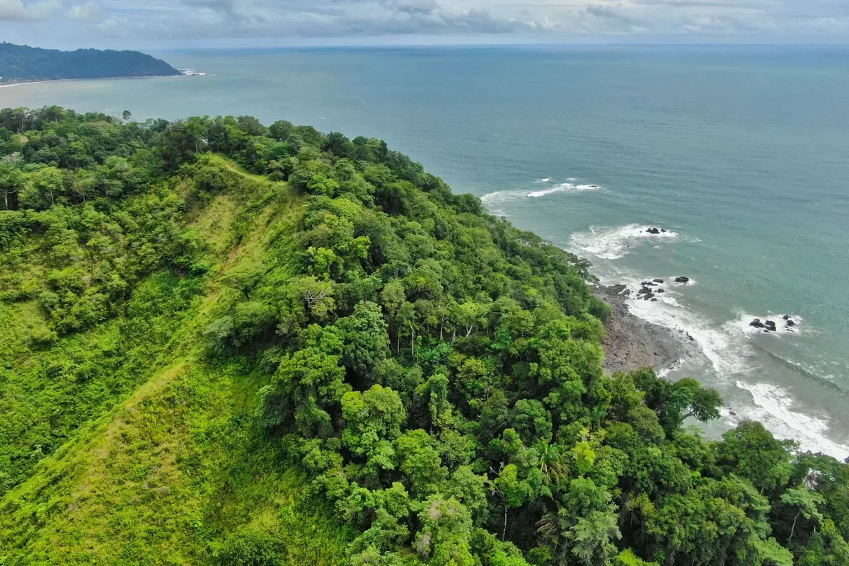 Southern Pacific, Manuel Antonio & Osa Guide: Where Rainforest Meets the Ocean