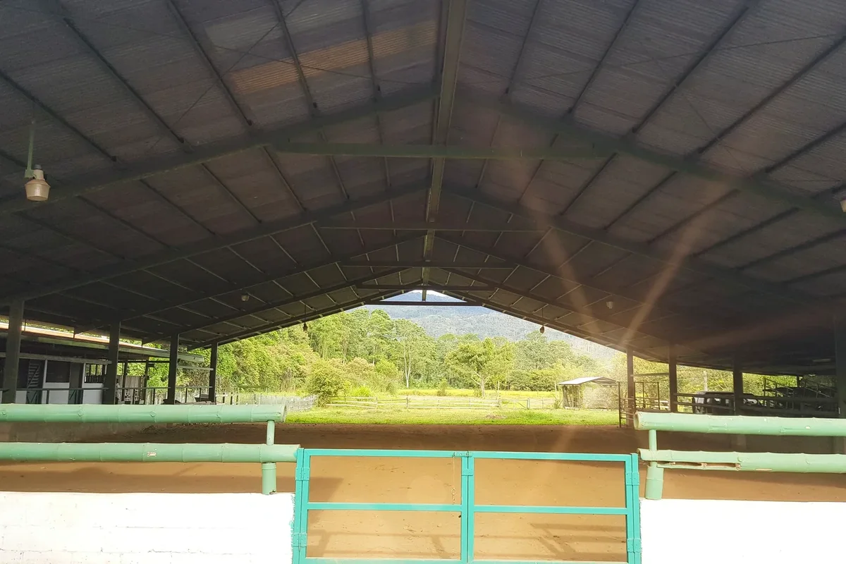 Guanacaste vs. the Central Valley: Coastline or Mountain Spring Climate?